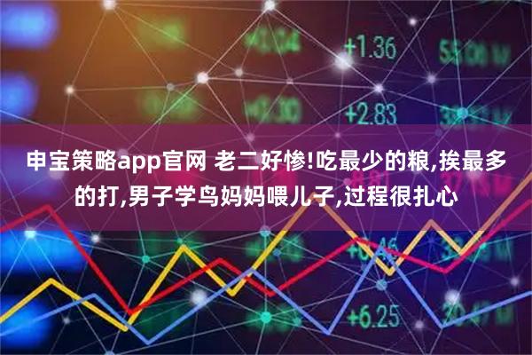 申宝策略app官网 老二好惨!吃最少的粮,挨最多的打,男子学鸟妈妈喂儿子,过程很扎心