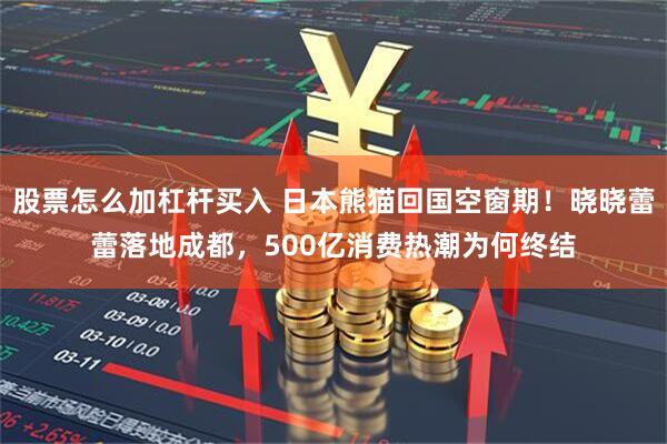 股票怎么加杠杆买入 日本熊猫回国空窗期！晓晓蕾蕾落地成都，500亿消费热潮为何终结