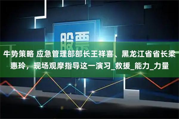 牛势策略 应急管理部部长王祥喜、黑龙江省省长梁惠玲，现场观摩指导这一演习_救援_能力_力量